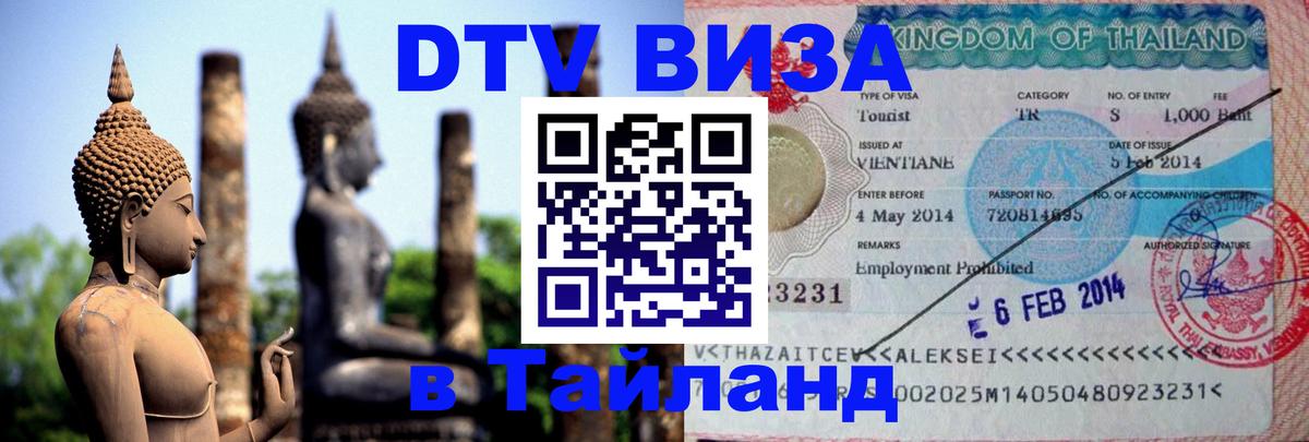 Оформление DTV визы под ключ: стоимость и тарифы, только загранпаспорт - 